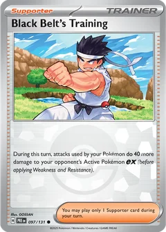 Black Belt's Training Poke ball Holo 97